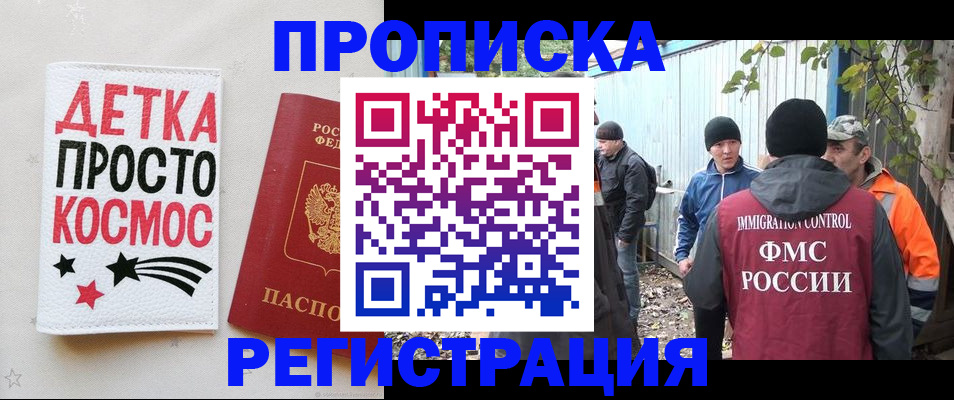 прописка поиск в Шадринске
